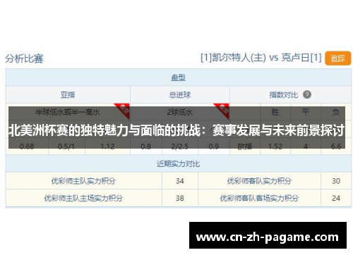 北美洲杯赛的独特魅力与面临的挑战：赛事发展与未来前景探讨