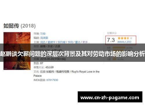 赵鹏谈欠薪问题的深层次背景及其对劳动市场的影响分析