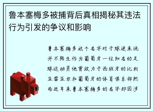 鲁本塞梅多被捕背后真相揭秘其违法行为引发的争议和影响