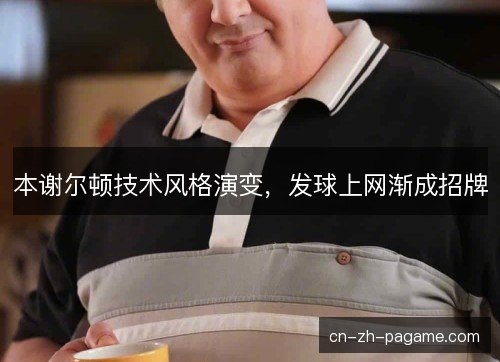 本谢尔顿技术风格演变,发球上网渐成招牌 本谢尔顿技术风格演变,发球上网渐成招牌