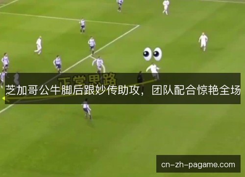 芝加哥公牛脚后跟妙传助攻,团队配合惊艳全场 芝加哥公牛脚后跟妙传助攻,团队配合惊艳全场